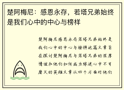 楚阿梅尼：感恩永存，若塔兄弟始终是我们心中的中心与榜样